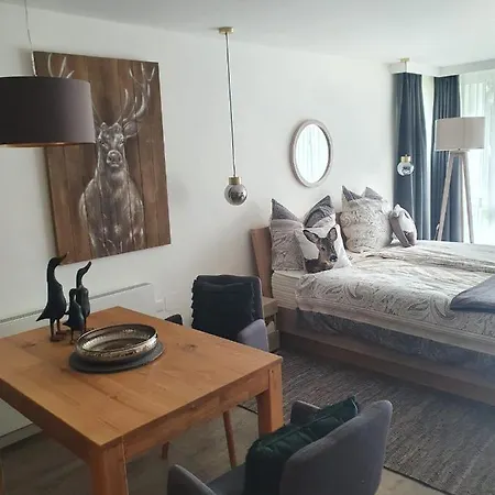 Διαμέρισμα Maurers Schlierseetraum 6, 455 Mit 42 Qm Neu Renoviert, Erdgeschoss Mit Eingezaeunter Terrasse In Ruhiger Lage Am Kirchbichlweg 8